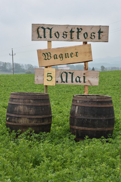 20190504_114412_Mostkost_RH.JPG