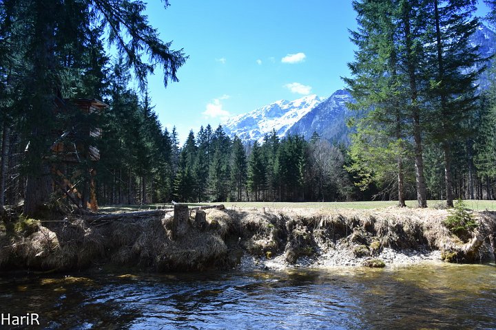 20190418_121831_SchiederweiherRH.jpg