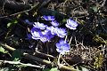 20190418_114018_SchiederweiherRH