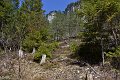 20190418_123022_SchiederweiherRH