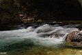 20190418_132833_SchiederweiherRH