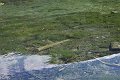 20190418_142409_SchiederweiherRH