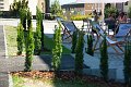 20200801_17_Cafe_Podium