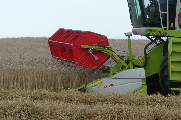20200728_174215_Erntezeit.JPG