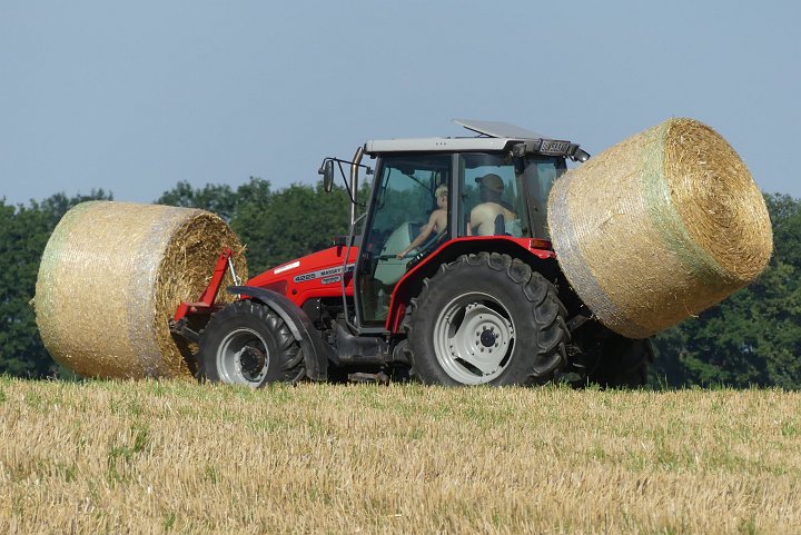 20200731_165125_Erntezeit.JPG
