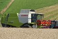 20200728_172032_Erntezeit