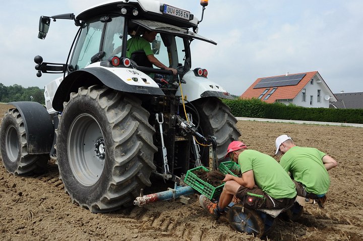 20190730_134650_Erdbeerfeld.JPG