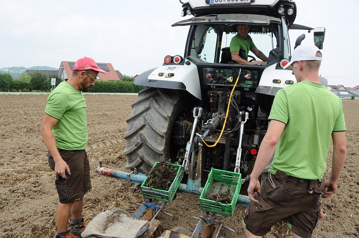 20190730_135912_Erdbeerfeld.JPG