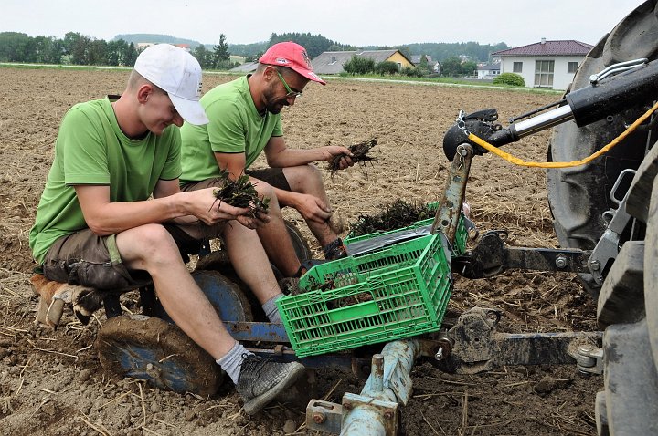 20190730_135942_Erdbeerfeld.JPG