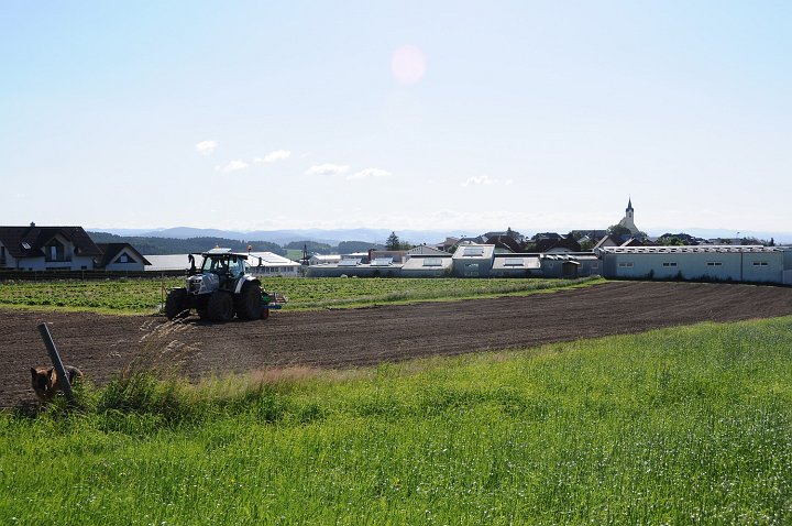 20200707_083138_Erdbeerfeld.JPG