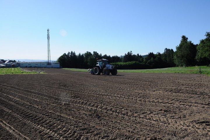 20200707_083304_Erdbeerfeld.JPG