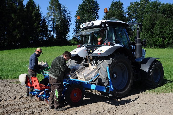 20200707_083532_Erdbeerfeld.JPG