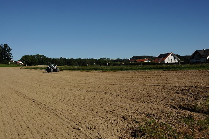 20200707_085058_Erdbeerfeld.JPG