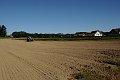20200707_085058_Erdbeerfeld