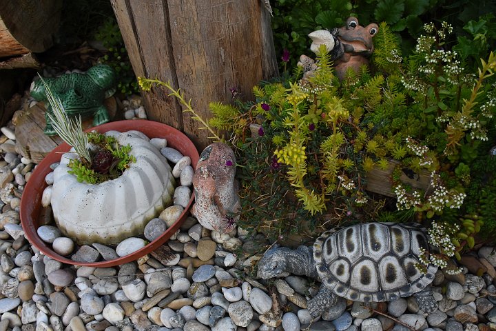 20200626_200622_Blumen_LP.jpg