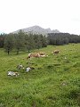 20200611_100632_Bosruckhuette_RH