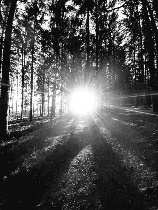 20201128_175720_Herbst_GD.jpeg