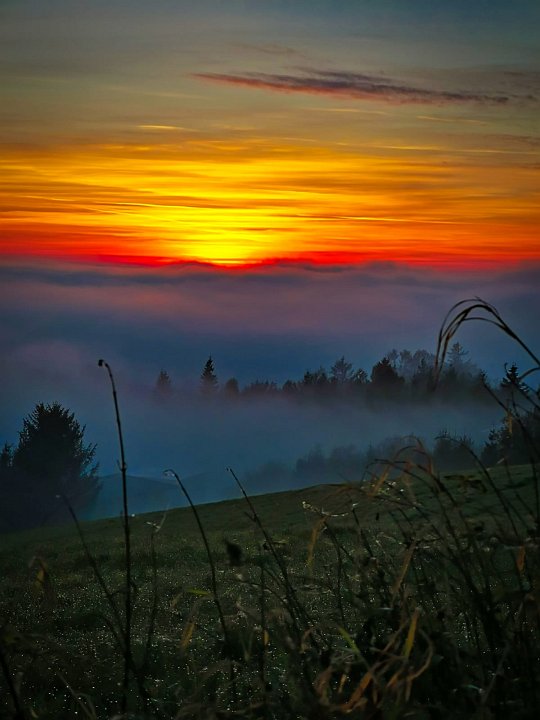 20201128_175903_Herbstnebel_Val.jpeg