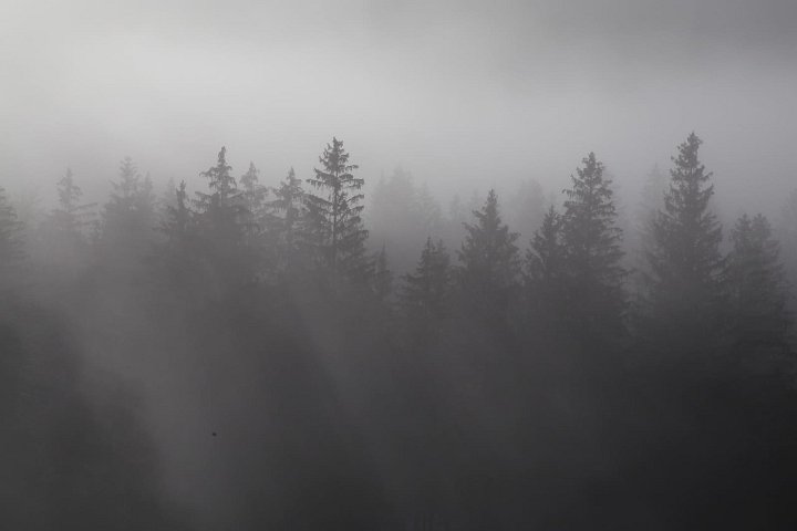 20201129_073711_Raureif_HH.jpeg