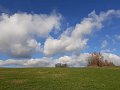 20201128_175758_Herbst_GD