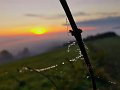 20201128_175926_Herbstnebel_Val