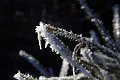 20201129_073702_Raureif_HH