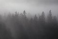 20201129_073711_Raureif_HH