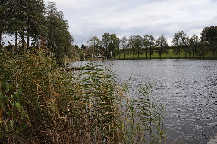 20201014_155631_Holzoestersee.JPG