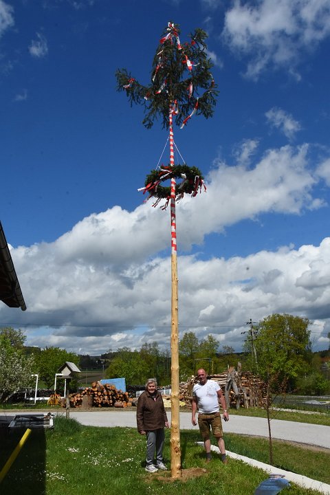 20200501_131831_Maibaum_Willersd.JPG