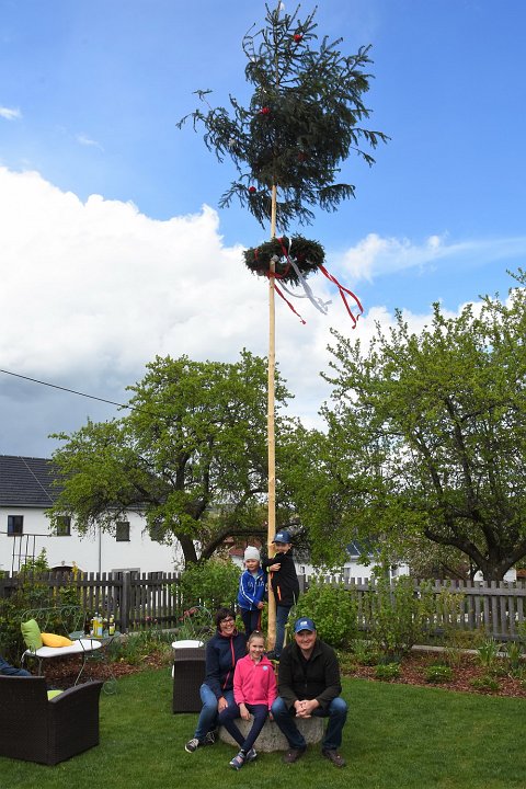 20200501_144320_Maibaum_Willersd.JPG