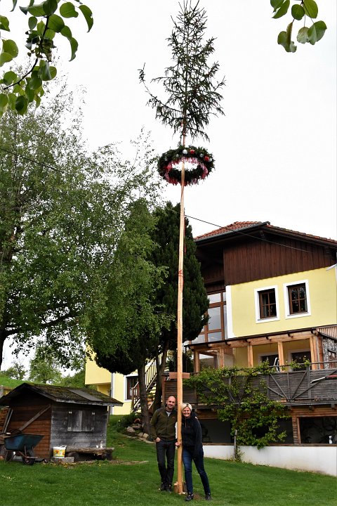 20200503_101430_Maibaum_Willersd.JPG