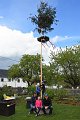 20200501_144320_Maibaum_Willersd