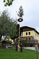 20200503_101303_Maibaum_Willersd