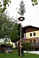 20200503_101430_Maibaum_Willersd