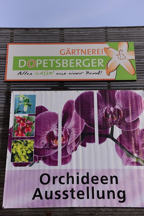 20210215_144448_Orchideen.JPG