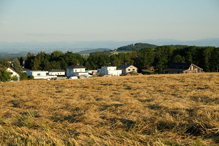 20210710_195607_Getreide.jpg