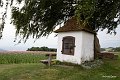 20210708_182204_Blumen