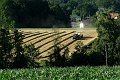 20210710_182724_Mohnblumen