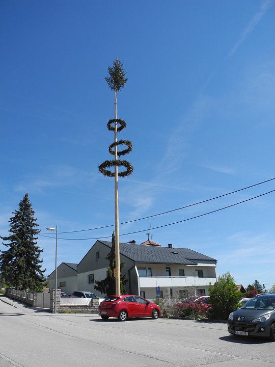 2021_Maibaum_Altenberg (1).JPG
