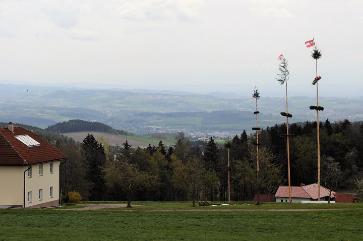 2021_Maibaum_Enzenhofer__2.JPG