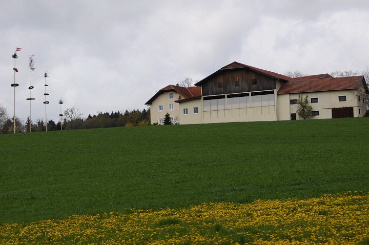 2021_Maibaum_Enzenhofer__3.JPG