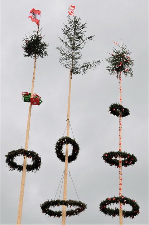 2021_Maibaum_Enzenhofer__4.JPG
