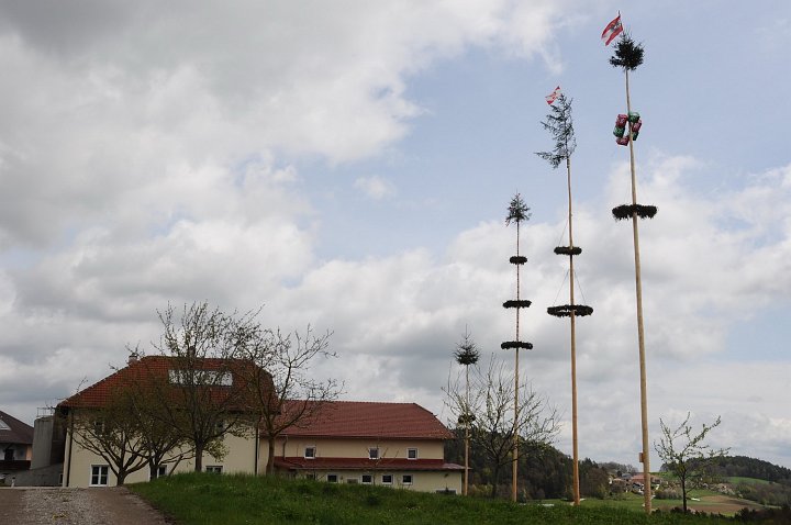 2021_Maibaum_Enzenhofer__8.JPG