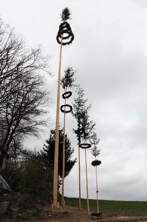 2021_Maibaum_Gassner in Hof_2.JPG