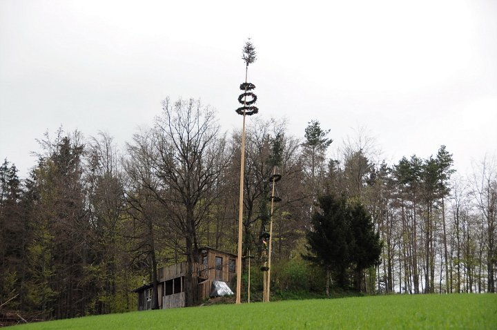 2021_Maibaum_Gassner in Hof_4.JPG