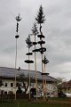 2021_Maibaum_Waldhoer_2