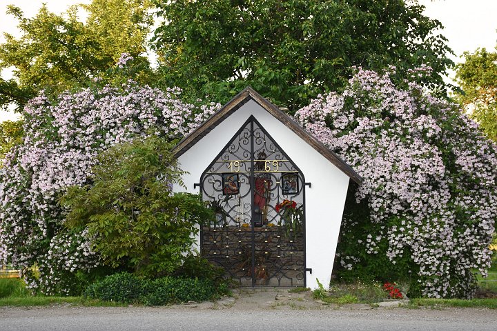 10_Hofer Kulm.JPG