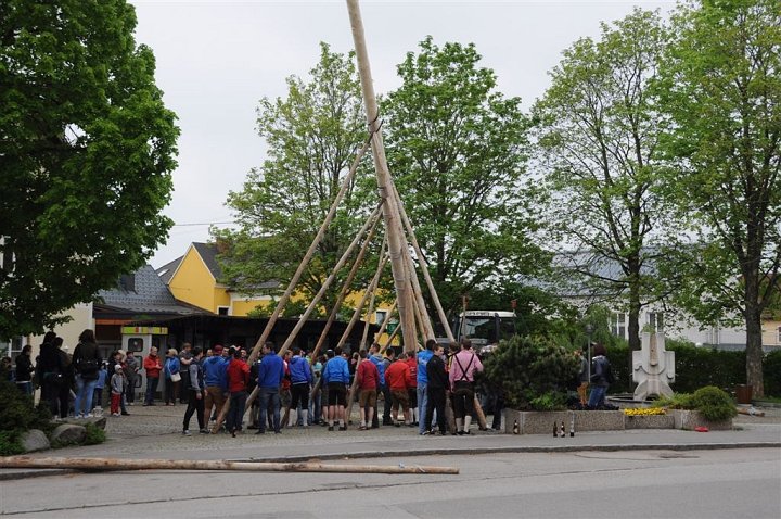 20140501_115755_Altenb_Maibaum.jpg