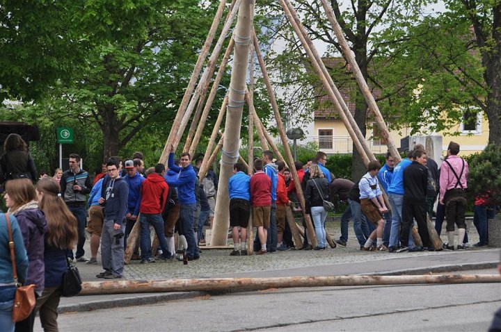 20140501_115918_Altenb_Maibaum.jpg