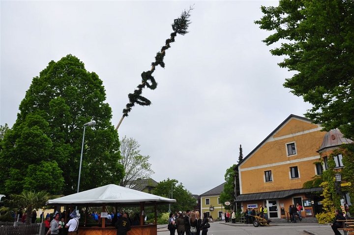 20140501_120001_Altenb_Maibaum.jpg